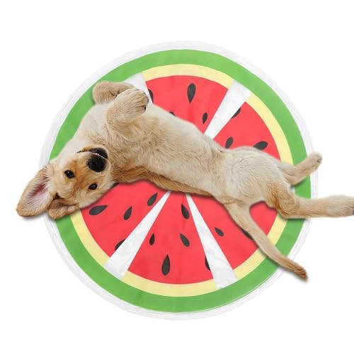 Sensory Water Playmat Katze, Sensorische Wasser Spielmatte Mit Fruchtmustern Sensorische Wasserspielmatte Für Katzen Sommer Wassersensorische Spielmatte Interaktives Katzenspielzeug Wassermatte von Jiimhte