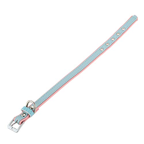 Jikoiuty Gepolstertes PU-Hundehalsband Blau XS: 32 x 1,5 cm von Jikoiuty