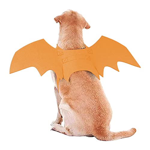 Fledermaus Hund Kostüm - Fledermaus Kostüm für Hunde Halloween Fledermaus Welpe Kostüm für Katzen | Halloween Party Dekoration, Cosplay Zubehör zum Verkleiden Jildouf von Jildouf