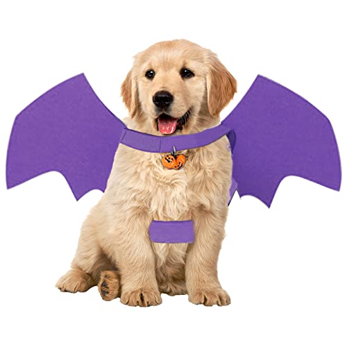 Jildouf Fledermausflügel für Halloween Haustiere Halloween Fledermaus Kostüm für Katzen Halloween Party Dekoration Cosplay Zubehör zum Verkleiden von Katzen von Jildouf