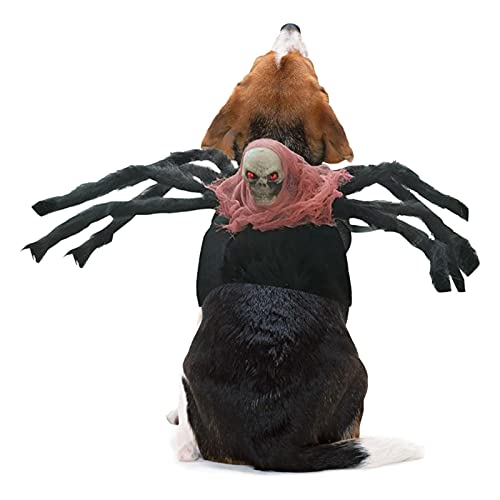 Jildouf Halloween Spinne Haustier Kostüm Schwarze Haustier Spinne Kleidung Haustier Halloween Kostü für kleine Hunde Katze Dekoration Horror Simulation Plüsch Spinne Kostüme mit Skelett von Jildouf