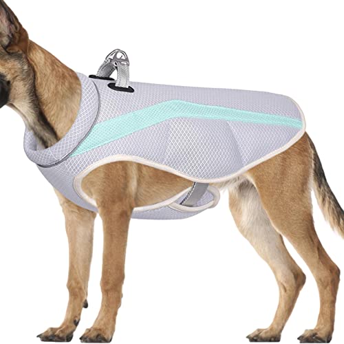 Kühljacke für Hunde – Kühlweste für Hunde, tragbare Hunde-Kühljacke, ärmellos, Sonnenschutzweste für Training, Outdoor, kleine und mittelgroße Hunde Jildouf von Jildouf