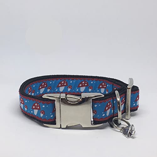 Jimmy und Katz 4260616172171 Hundehalsband Pilz Familie hellblau 26-40cm x 2cm von Jimmy und Katz