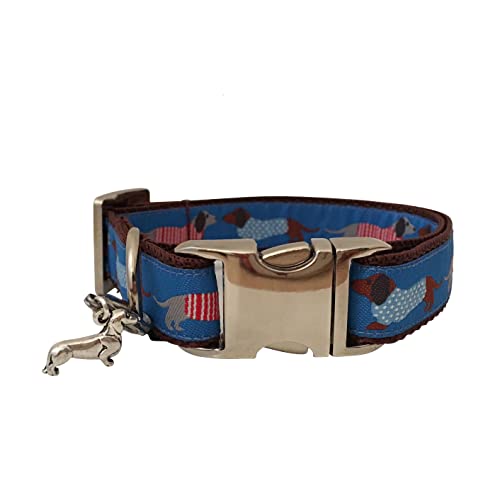 Jimmy und Katz Hundehalsband Dackel Teckel Blau 26-40cm x 2cm von Jimmy und Katz