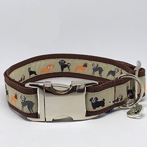 Jimmy und Katz Hundehalsband WAU 35-58cm x 2,5cm von Jimmy und Katz