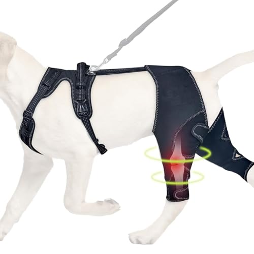 Hundebeinpraces für Hinterbein, Hunde Rückenstütze - Pet Hock Hip Support,Tragbarer Tierkniewundschutz für kleine Tiere Genesung von Jingmiger