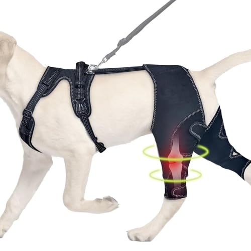 Hundeknieklammer, Hundebeinpraces für Hinterbein | Pet Hock Hip Support | Tragbarer Tierkniewundschutz für kleine Tiere Genesung von Jingmiger