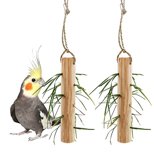 2 Stück Vogelfutter-Spielzeug, Holz-Hänge-Papageien-Schlitz, Futterwerkzeug, Vogelkäfig-Zubehör, Kleintierfutterspielzeug, geeignet für Huhn, Vogel, Papageien, Nymphensittiche, Kaninchen, Hasen von Jinkoozz