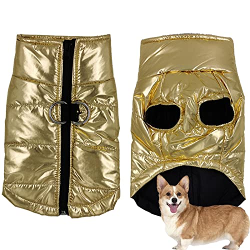 Jinmen Wintermäntel für Hunde,Schneedichte Haustier-Reflexjacke für Hunde - Dicker, schneefester, Warmer Mantel, reflektierende Weste, Kleidung für kleine, mittelgroße Hunde von Jinmen