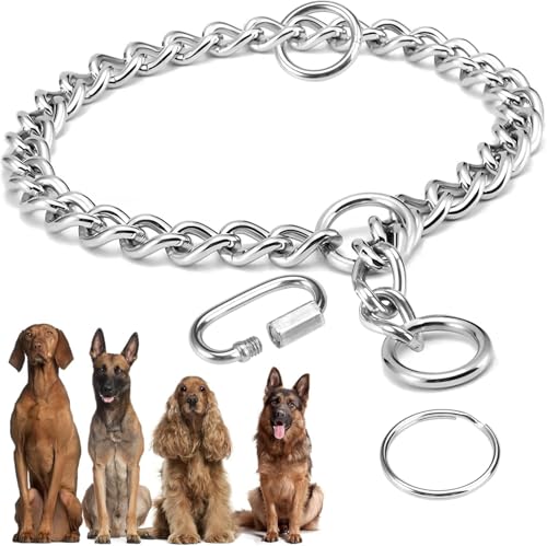 Kettenhalsband Hund, 65 cm Hundehalsband, verstellbare Hundekette mit sicherer Schnalle, Hundekette für Hundetraining, Edelstahl-Hundehalsband, für Spaziergänge mit dem Hund von Jinsion