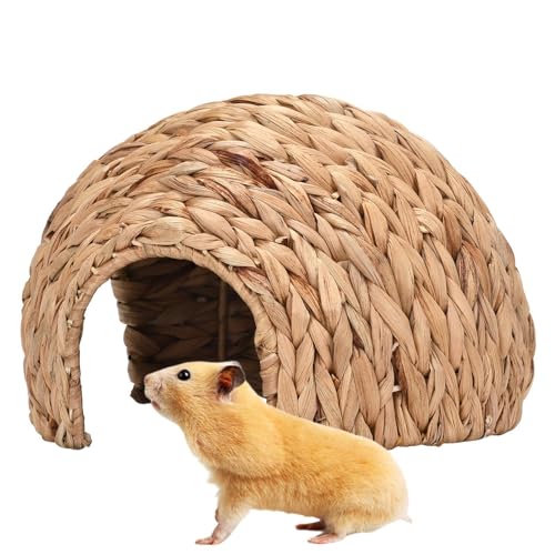 Kaninchen Tunnel - Haus aus Glas für Kaninchen, natürlicher Gama Home Teppich. Kauspielzeug, handgefertigtes, komfortables Haus für Kaninchen, Chinchilla, Meerschweinchen, Kaninchen von Jinyilwn