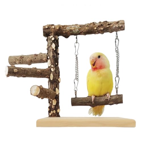 Papagei Spielständer - Papagei Sitzstange Ständer Holz Vogel Spielständer | Papagei Spielständer mit mehreren Zweigen Natürliche Papagei Sitzstange Rutschfeste Vogelstange Langlebiger Vogelbaum für von Jinyilwn