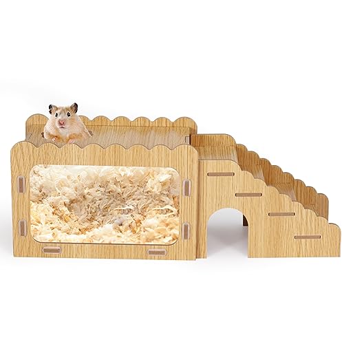 Hamster Graben Box, Kleiner Sichtbarer Hamster Graben Raum mit Acryl Transparent Board, Hamsterversteck und Erkundungshaus mit Kletterleiter, Hamster Graben Holz Spielzeug für Guinea Syrische Hamster von Jinzhenhong