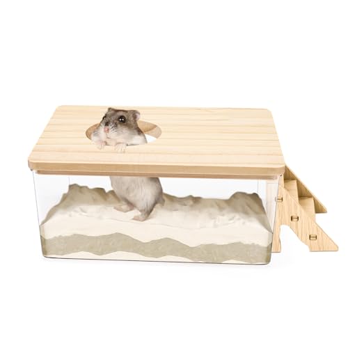 Hamster Sand Badebox, Rechteck Hamster Sandbad Container mit Kletterleiter, Transparent Acryl Hamster Zubehör für kleine Haustiere (Rechteckig) von Jinzhenhong