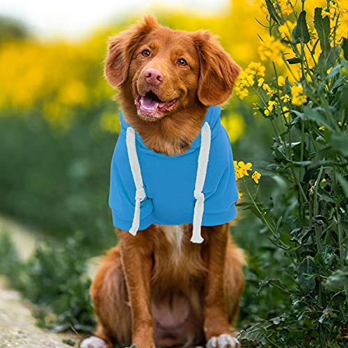 Jipersuo Fashion Gestreift Hund Pullover Haustier- Winter-Fleece-Reißverschluss-Taschen-Sweatshirt Einfarbige Oberteile Haustier-Katzen- Hunde-Haustier-Kleidung Hoodies Welpen Jacken Warm (Blue, L) von Jipersuo