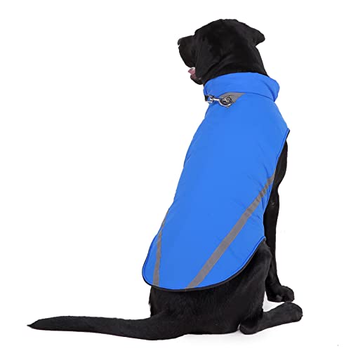 Jipersuo Haustier Winter Warmer Mantel mit Geschirr Klettverschluss-Jacke Haustierkleidung Baumwolle Reflektierende Hundegroße verstellbare Haustierkleidung Wintermäntel für kleine Hund (Blue, XXL) von Jipersuo