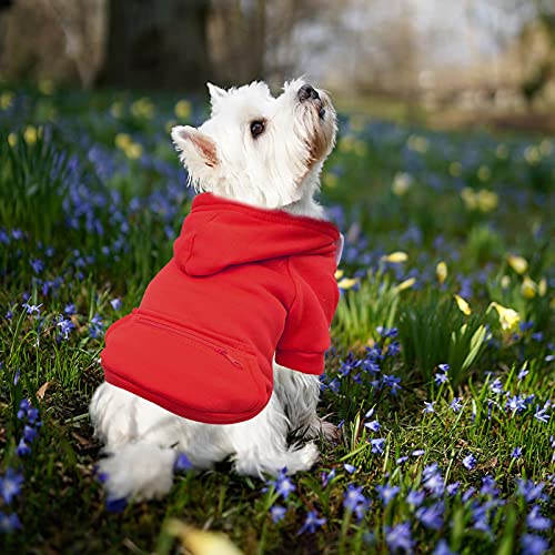 Jipersuo Hundebademantel Haustier Winter Reißverschluss Fleece Tasche Sweatshirt Volltonfarbe Tops Haustier Katzen Hunde Hoodies Rot Warme Haustierkleidung Wintermantel Hund Mittel (RED, S) von Jipersuo