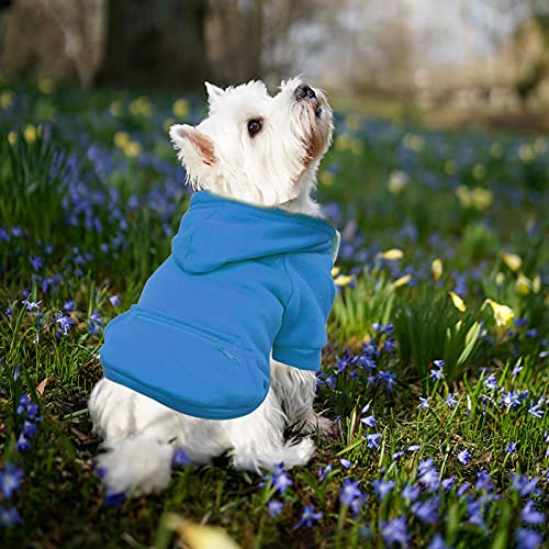 Jipersuo Welpen Jacken Warm Haustier- Winter-Fleece-Sweatshirt, einfarbige Oberteile, Haustiere, Katzen Hunde, Taschen-Hoodies, Reißverschluss, Haustierkleidung Hund Wintermantel (Blue, XXXL) von Jipersuo