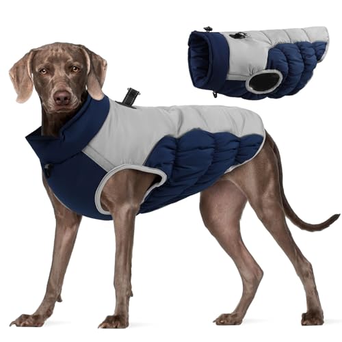 Warmer Wintermantel für Hunde, Hundemantel aus Fleece, Hundejacke mit integriertem Geschirr, Winddicht, Hundemantel für kaltes Wetter, reflektierender Rollkragen, großer Haustier Katze (D, 29x20 cm) von Jipersuo