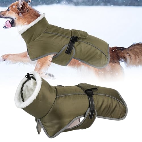 Wintermantel für Hunde, Hundejacke für kaltes Wetter mit Polsterung, Hundeweste mit integrierter Warmer Haustierkleidung, Hundebekleidung mit Reißverschluss auf der Rückseite, (F, One Size) von Jipersuo