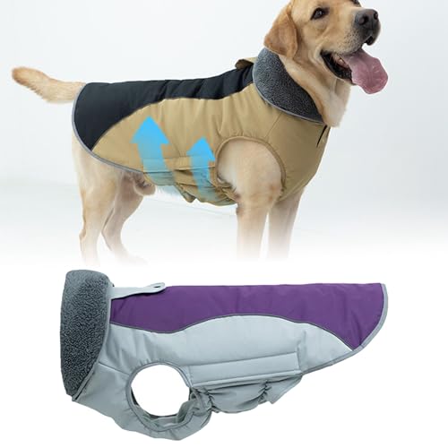 Wintermantel für Hunde, Hundejacke für kaltes Wetter mit Polsterung, Hundeweste mit integrierter Warmer Haustierkleidung, Hundebekleidung mit Reißverschluss auf der Rückseite, Hund (C, One Size) von Jipersuo