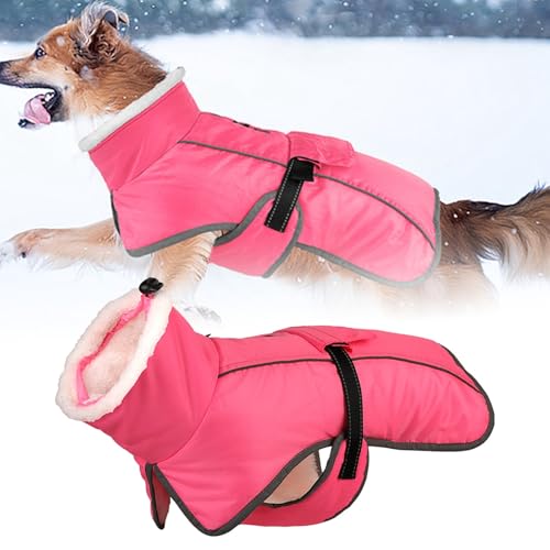 Wintermantel für Hunde, Hundejacke für kaltes Wetter mit Polsterung, Hundeweste mit integrierter Warmer Haustierkleidung, Hundebekleidung mit Reißverschluss auf der Wintermäntel für (C, One Size) von Jipersuo