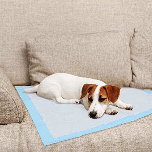 Jiubiaz Trainingsunterlagen 100 stück Welpenunterlage Training PadsToilettenmatte Pee Pads schnell trocknender Oberfläche für Haustiere große Hunde kranke und alternde Hunde 45 * 60cm von Jiubiaz