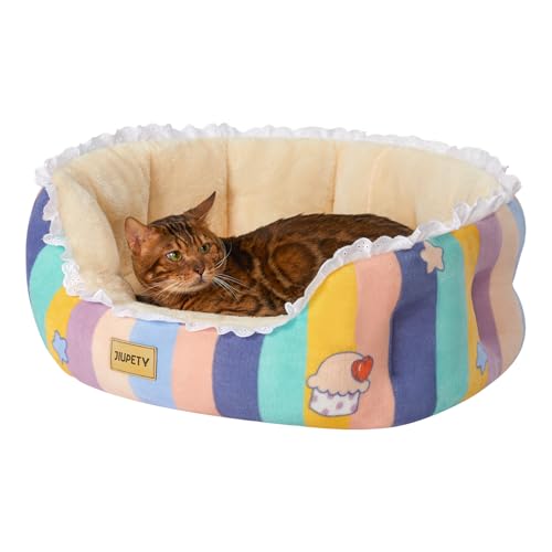 Jiupety Indoor Katzenbett, Regenbogen, M von Jiupety