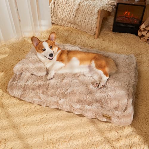 Jiupety Mittelgroßes Hundebett für Kiste, Matratze mit Hundekissen für Kiste, kleine Hunde, beruhigende Hundebetten für kleine Hunde, Plüsch-Hundebox-Pad für mittelgroße Hunde bis zu 15,9 kg, L (88,9 von Jiupety