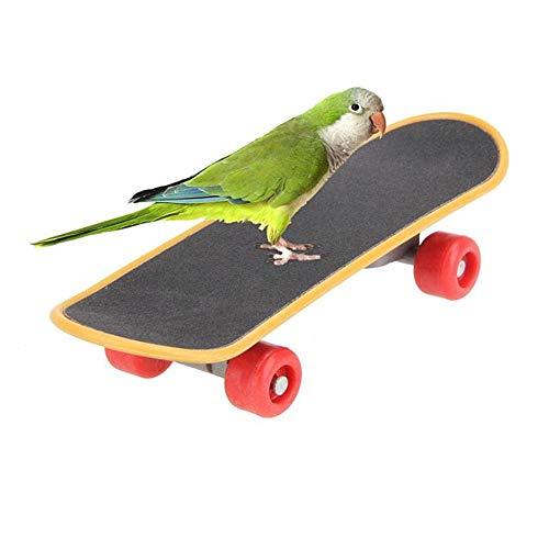 Jjoer Birds Toys Budgie Toys Bird Toys For Parrot Birds Papagei Toys African Grey Parrot Perches Parrot Perch Bird Toys Budgie Toy Budgie Toys Birds Toys von Jjoer