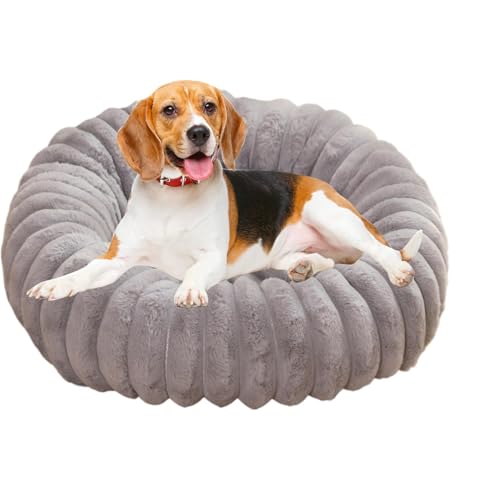 Jlkegfdf Beruhigendes Donut-Hundebett, Katzenbett, weiches Donut-Plüsch-Hundebett, runde Haustierbetten, waschbar, Katzen-Couch für Indoor-Hunde und kleine Katzen von Jlkegfdf