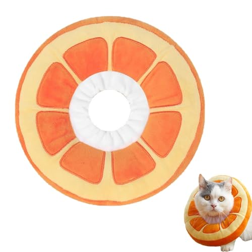 Jlkegfdf Elisabethanisches Hundehalsband, verstellbares Hundekegelhalsband, Katzenhalsband, Hundekegel-Halsband, Katzen-Donut-Halsschutz für kleine, mittelgroße Hunde, Katzen, Haustiere Jlkegfdf Elisabethanisches Hundehalsband, verstellbares Hundekegelhalsband, Katzenhalsband, Hundekegel-Halsband, Katzen-Donut-Halsschutz für kleine, mittelgroße Hunde, Katzen, Haustiere von Jlkegfdf