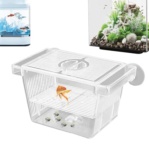 Aquarium-Züchterbox – verstellbare Fischbrutkammer | Multifunktionaler Inkubator für Aquarien, Laichbehälter für aggressive Fische, 12,5 x 7 x 7 cm von Jlobnyiun