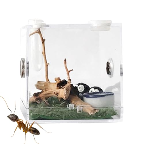 1 Stück Reptilien-Zuchtbox | Reptilien-Lebensraum aus transparentem Acryl, mit Anti-Flucht-Design und Atemlöchern aus Metall - Insektenbeobachtungsbox - für Spinnen, Grillen, Schnecken von Jlobnyiun