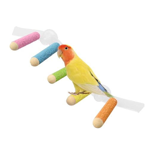 Jlobnyiun Sitzstange mit Saugnapf für Vögel | Kletterleiter für Nymphensittiche | Duschstange mit Saugnapf, platzsparend, für Vogelkäfig – , Wellensittiche, Nymphensittiche Jlobnyiun Sitzstange mit Saugnapf für Vögel | Kletterleiter für Nymphensittiche | Duschstange mit Saugnapf, platzsparend, für Vogelkäfig – , Wellensittiche, Nymphensittiche von Jlobnyiun
