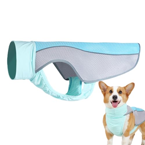 Kühlung Hundeweste - Sommer -Haustierkleidung, reflektierender Welpenanzug | Leichte Kühlmaschenjacke für Hunde, Sommerhitzerleichterweste mit reflektierenden Streifen für Gehen, und Spielsitzu Kühlung Hundeweste - Sommer -Haustierkleidung, reflektierender Welpenanzug | Leichte Kühlmaschenjacke für Hunde, Sommerhitzerleichterweste mit reflektierenden Streifen für Gehen, und Spielsitzu von Jlobnyiun