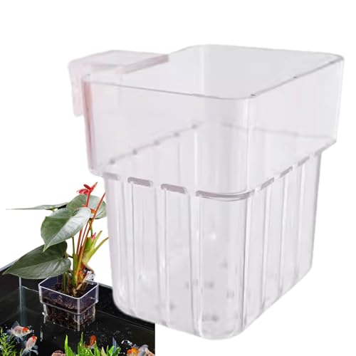 Pflanzenhalter für Aquarien, transparenter Pflanzgefäß, Hänge-Terrarium-Pflanzenständer, Dekorationen, Pflanzen, Topf, Aquarium, Pflanzenhalter für Reptilienbecken, Pflanzenzucht, Bauchmuskeln von Jlobnyiun