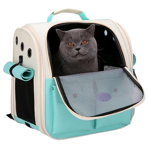 Welpenrucksack, Kätzchenrucksack - Tragbarer, atmungsaktiver Netz-Reiserucksack für Haustiere,Gepolsterte Schultergurte, Katzenrucksäcke zum Tragen von Katzen, Faltbare Katzentasche von Jlobnyiun