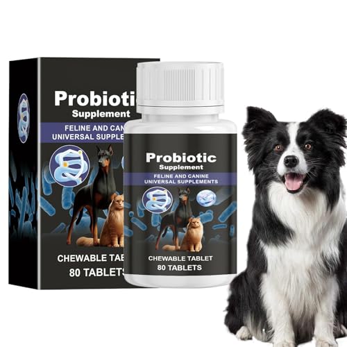 Probiotika Für Hunde – Präbiotika Für Hunde Für Die Darmgesundheit, 80 Kautabletten, Probiotische Nahrungsergänzungsmittel Für Hunde, Verdauungsenzyme, Darm- Und Verdauungsgesundheit Bei Haustieren von Joberio