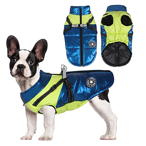 Hundejacke für den Winter,Wasserdichter Hundemantel,Welpe Warme Jacke Kleidung Weste,Reflektierende Weste Hundekleidung, Winddichte Hundejacke für kaltes Wetter für kleine mittlere Hunde (Blue, L) von Jodsen