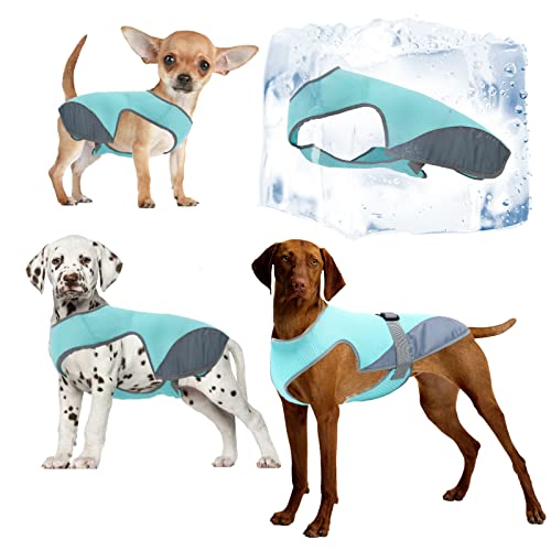 Hundekühlweste,Haustier Kühlweste,Atmungsaktives Mesh Hundejacke für mittlere und große Hunderassen,Verstellbare Hund Kühlweste Blau für Aktivitäten draußen, Wandern,Training (Blau-M) von Jodsen