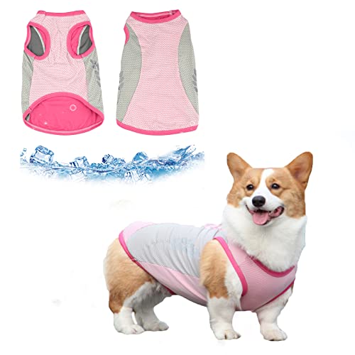 Hundekühlweste,Sommer Cool und Bequem Hundemantel Atmungsaktiv Mesh Hundejacke mit Reflektorstreifen,Leichte Hunde-EIS-Kühlung T-Shirts für kleine bis mittelgroße Hunde (Pink, 2XL) von Jodsen