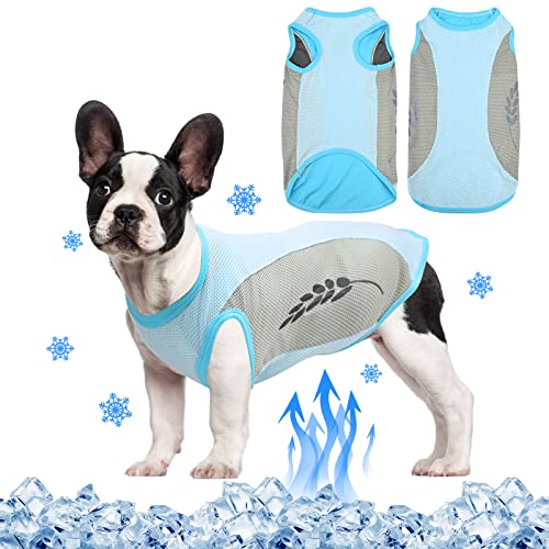 Hundekühlweste,Sommer Cool und Bequem Hundemantel Atmungsaktiv Mesh Hundejacke mit Reflektorstreifen,Leichte Hunde-EIS-Kühlung T-Shirts für kleine bis mittelgroße Hunde (XXL, Blau) von Jodsen