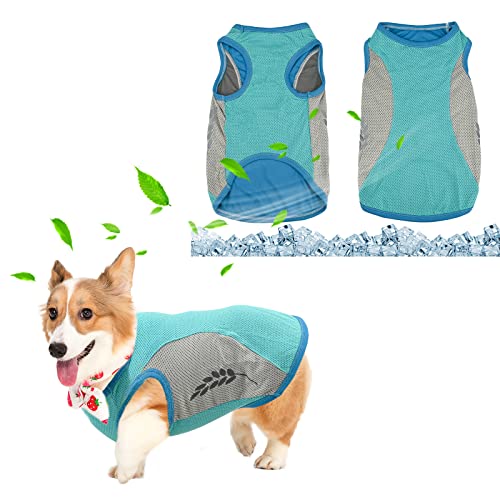 Hundekühlweste,Sommer Cool und Bequem Hundemantel Atmungsaktiv Mesh Hundejacke mit Reflektorstreifen,Leichte Hunde-Eis-Kühlung T-Shirts für kleine bis mittelgroße Hunde (XXL, Grün) von Jodsen