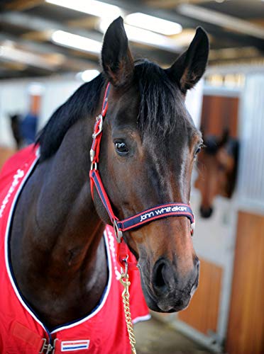 John Whitaker Halfter rot rot Cob von John Whitaker