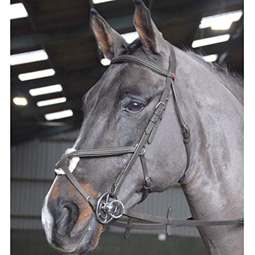 John Whitaker Ready to Ride Mexican Grackle Bridle Extra Full Size Black von John Whitaker