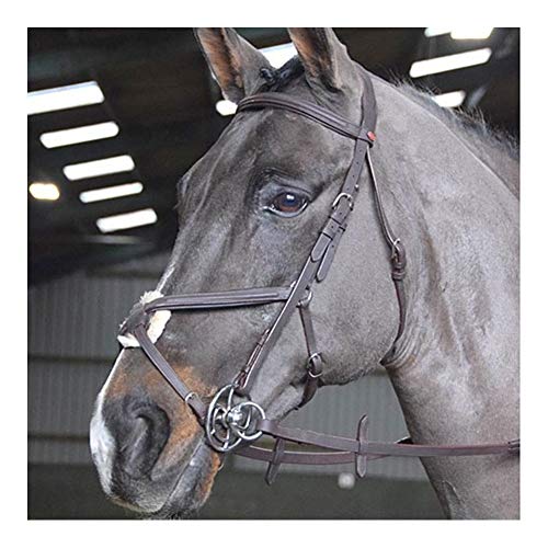 John Whitaker Ready to Ride Mexican Grackle Bridle Extra Full Size Brown von John Whitaker