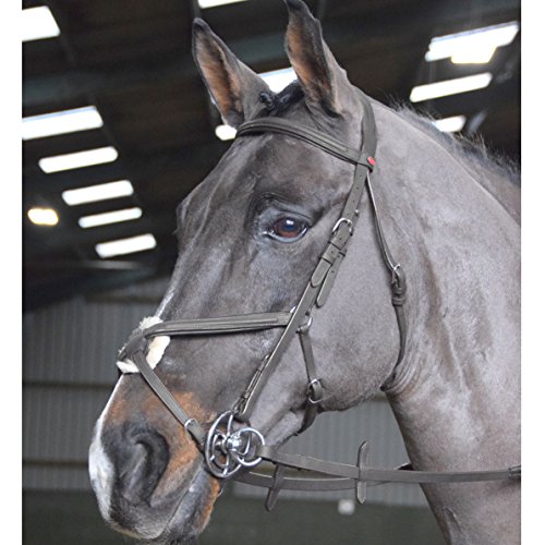 John Whitaker Ready to Ride Mexican Grackle Bridle Full Size Black von John Whitaker