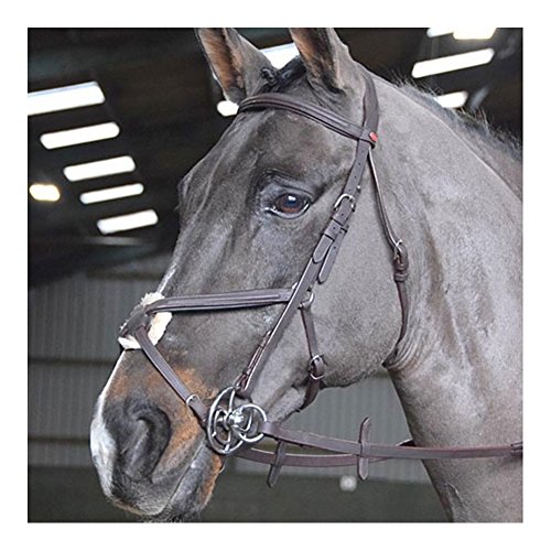 John Whitaker Ready to Ride Mexican Grackle Bridle Full Size Brown von John Whitaker