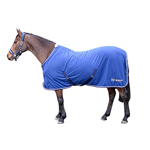 John Whitaker Rydal Mehrzweck-Teppich, Mikro-Wildleder, 152 cm, Blau von John Whitaker